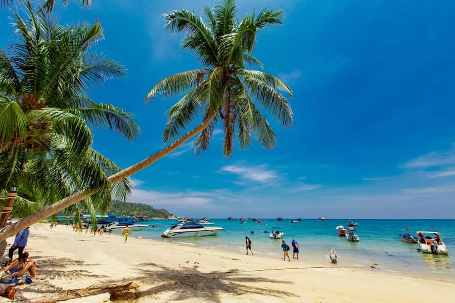 Koh Samui: Ko Tao & Nang Yuan Premium Tour Lunch & Transfer - The ride home and what the boat setup means