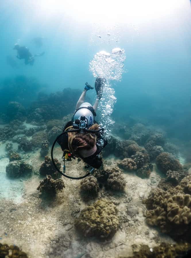 Koh Tao: PADI Premium Open Water Diver Course - Health, swimming ability, and flight planning