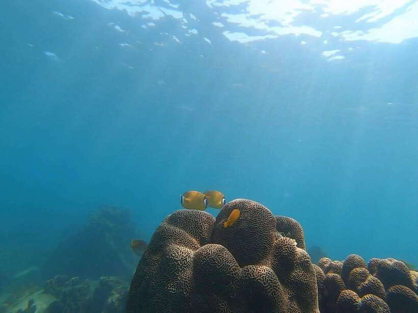 Koh Tao: Premium Snorkel Tour to Koh Nangyuan Bays by Oxygen - Koh Nangyuan and the famous viewpoint