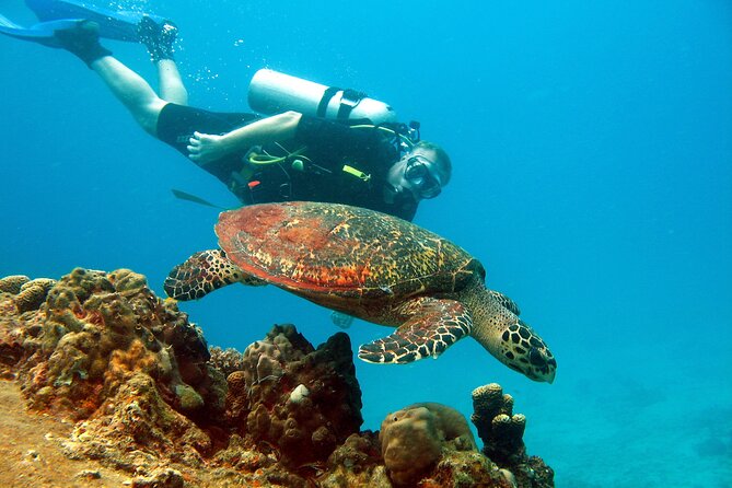 Koh Tao VIP Snorkelling Tour - Why the smaller group affects the value