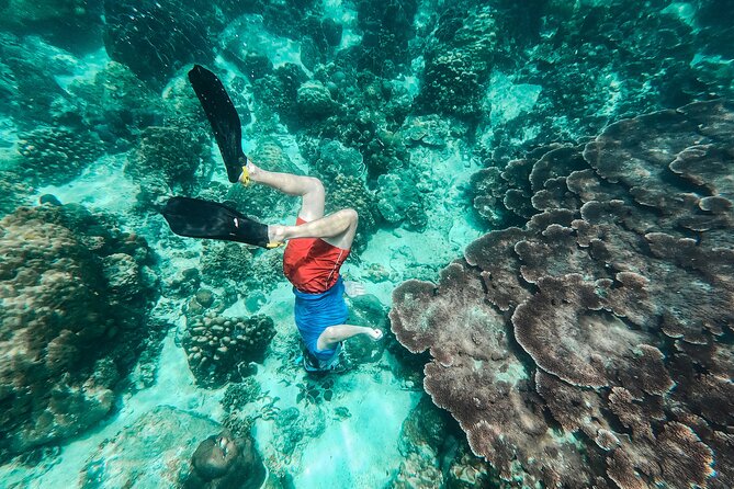Koh Tao VIP Snorkelling Tour - Meeting the 100 Degrees East team in Bangrak