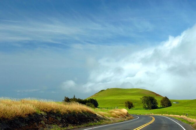 Kohala Waterfalls with Exclusive Landing Helicopter Tour - Key points to know before booking
