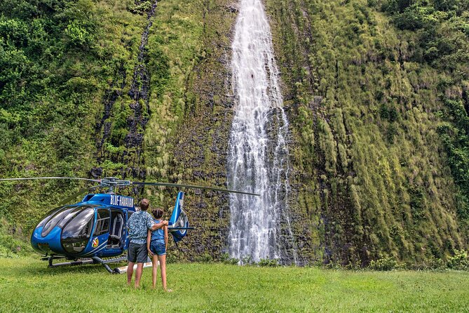 Kohala Waterfalls with Exclusive Landing Helicopter Tour - Beaches, valleys, and the Valley of the Kings