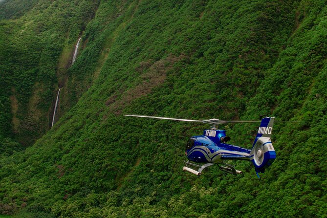 Kohala Waterfalls with Exclusive Landing Helicopter Tour - Is $804.65 a good value?