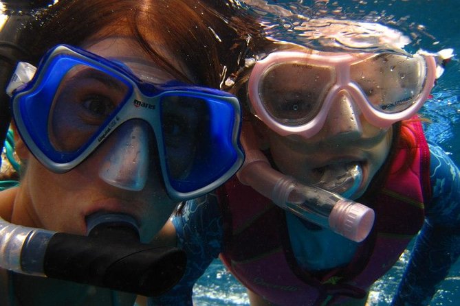 Kona Luxury Catamaran Yacht Snorkel & Sail - What the snorkeling is really like