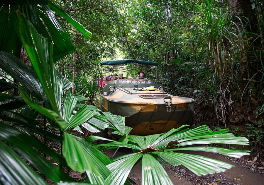 Kuranda Pamagirri Aboriginal Premium Full-Day Tour - BBQ lunch and the value of the package