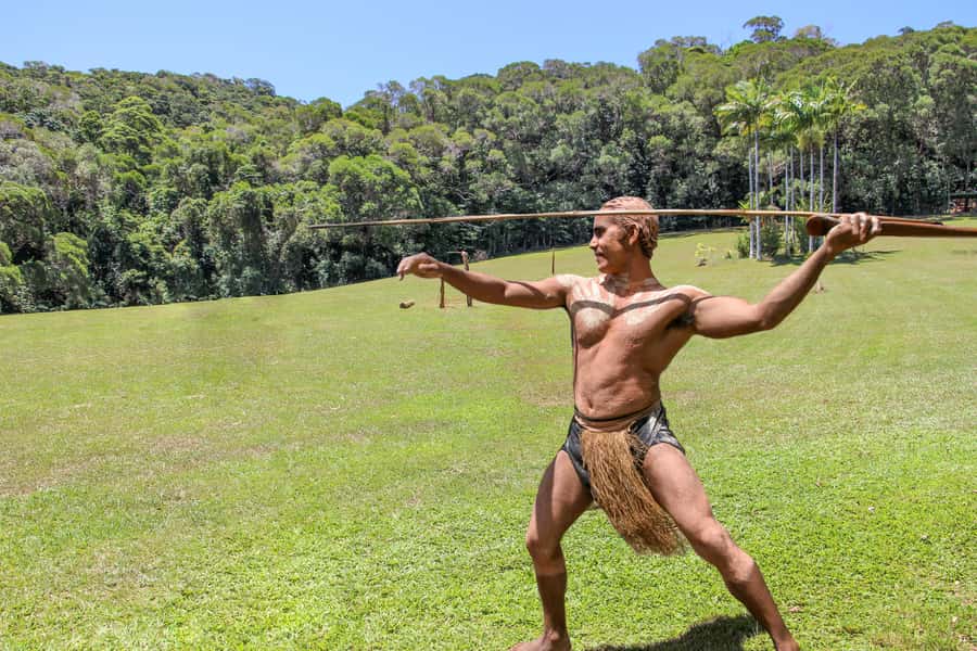 Kuranda Pamagirri Aboriginal Premium Full-Day Tour - Walking the Rainbow Serpent pathway