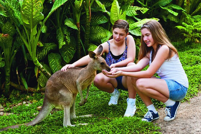 Kuranda Wildlife Experience Deluxe Multi Attraction Pass - Kuranda Koala Gardens and the close animal encounters