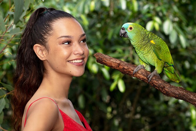 Kuranda Wildlife Experience Deluxe Multi Attraction Pass - Birdworld Kuranda and its open flight aviary