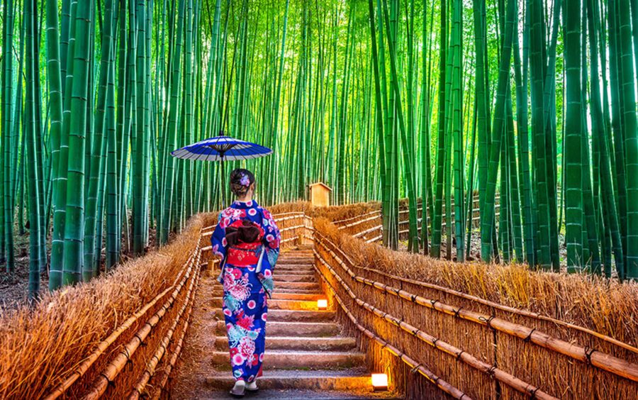 Kyoto Day Tour with Certified Tour Guide & Luxury vehicle - A full Kyoto day without changing trains