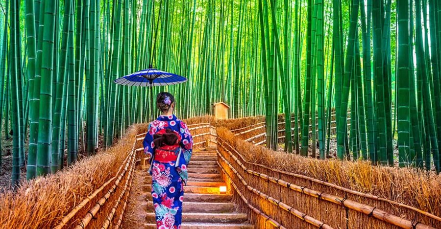 Kyoto Day Tour with Certified Tour Guide & Luxury vehicle - Kinkaku-ji brings Kyoto’s postcard moment