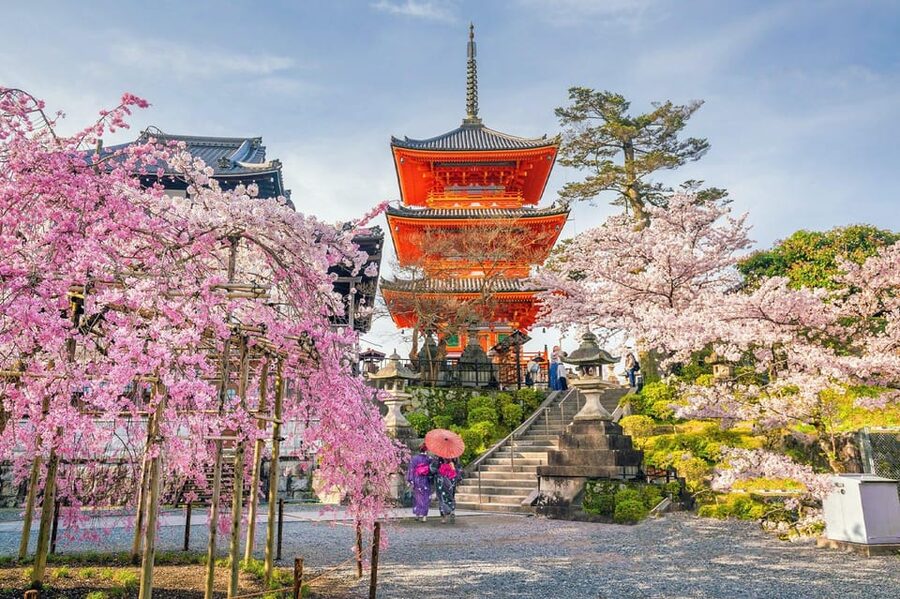 Kyoto: Private Highlights Tour with Guide and Luxury Vehicle - Gion and Nishiki Market