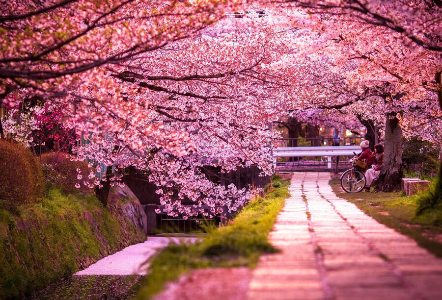 Kyoto: Private Highlights Tour with Guide and Luxury Vehicle - Can you really see all these sights in ten hours?