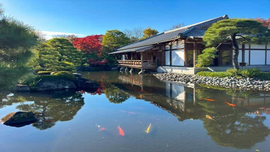 Kyoto:Private Tour/Luxury Vehicle with Guide & photographer - The photographer service and getting better pictures