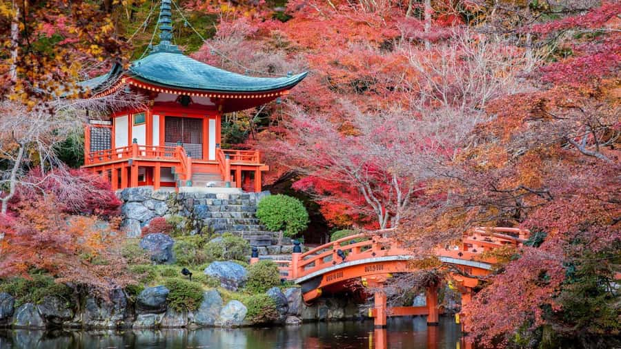 Kyoto:Private Tour/Luxury Vehicle with Guide & photographer - Lunch, heat, and the pace of the day
