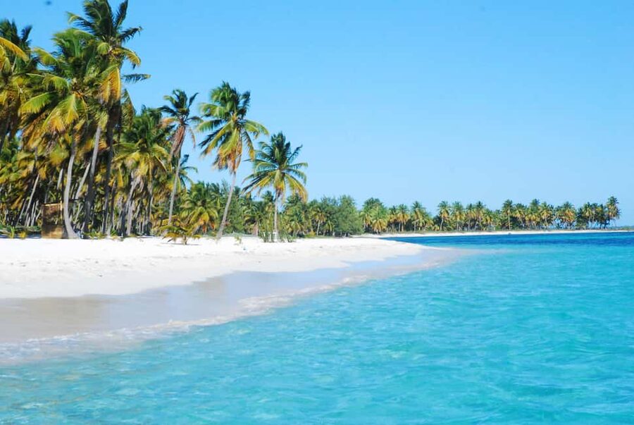 La Romana: Saona Crusoe VIP for cruise guests - Mangroves from the edge of the park