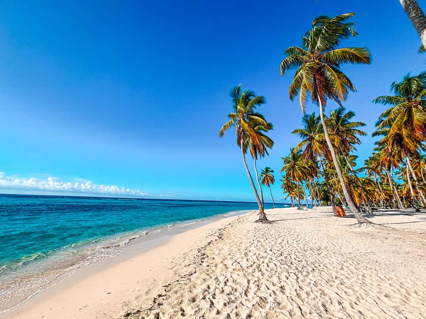 La Romana: Saona Crusoe VIP for cruise guests - From the cruise port to Bayahibe
