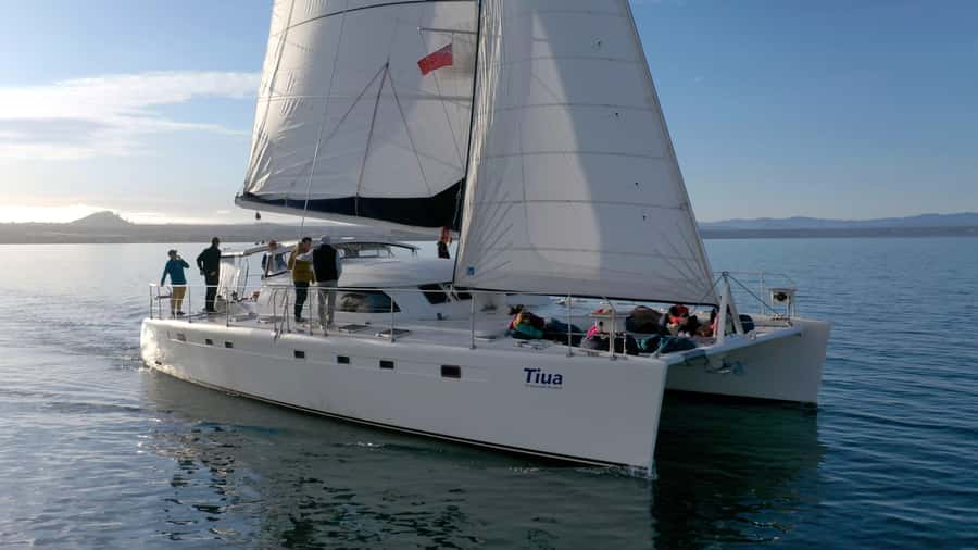 Lake Taupo: Luxury Sailing Catamaran to Māori Rock Carvings - Setting out from Taupō Marina on Tiua