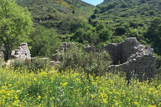 Land rover Safari Premium to the hidden gems of Northwest Corfu - Key points to know before you book