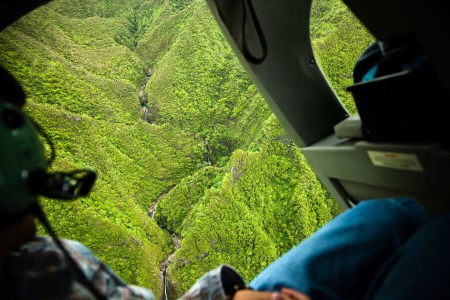 Lihue: Deluxe Waterfall Safari Helicopter Tour - What the pilot adds to the hour