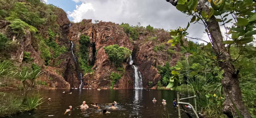 Litchfield & Berry Springs, Premium tour, 10 guests & lunch - Key points at a glance