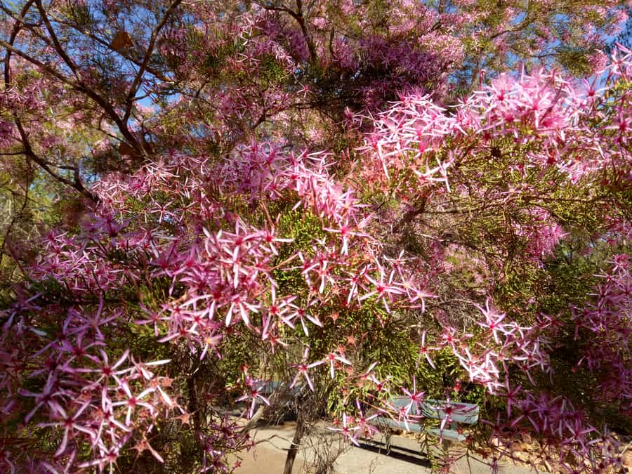 Litchfield & Berry Springs, Premium tour, 10 guests & lunch - Is $194 good value for a small group?