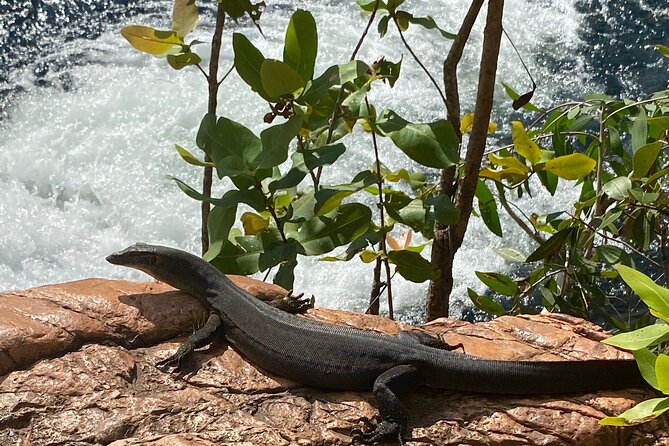 Litchfield & Berry Springs VIP Adventure Day Tours (group of 11) - The guides make the compact format work