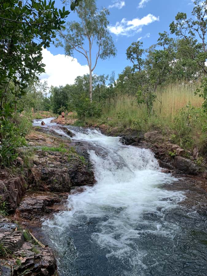 Litchfield VIP Tours, Litchfield National Park, Day Tours, - Who will enjoy this Litchfield day tour?