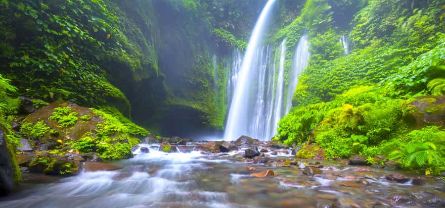 Lombok: Exclusive Sendang Gile, Tiu Kelep & Selong Hill Tour - At a Glance