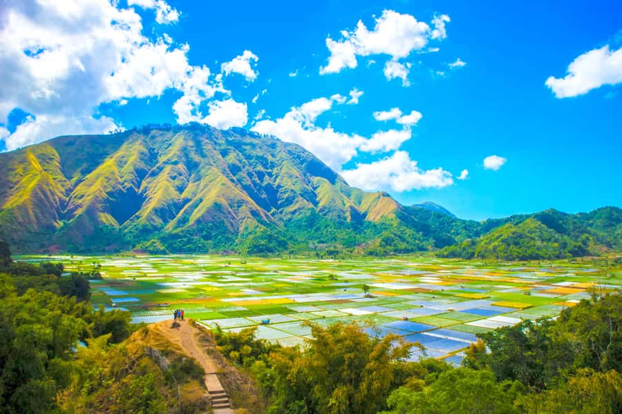 Lombok: Exclusive Sendang Gile, Tiu Kelep & Selong Hill Tour - The Early Drive to Northern Lombok