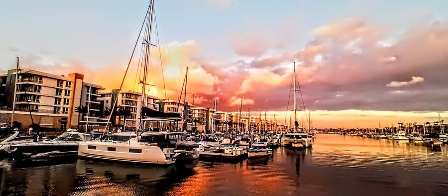 Los Angeles #1: Luxury Boat Cruise-Wine, Cheese & Sea Lions - Key points to know before booking