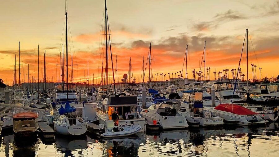Los Angeles #1: Luxury Boat Cruise-Wine, Cheese & Sea Lions - What the two-hour route feels like