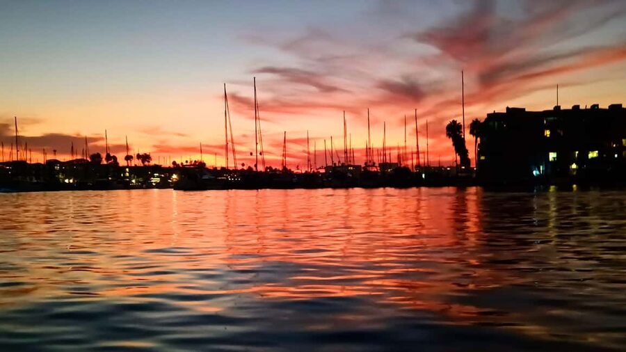 Los Angeles #1: Luxury Boat Cruise-Wine, Cheese & Sea Lions - Wine, charcuterie, and the question of dinner