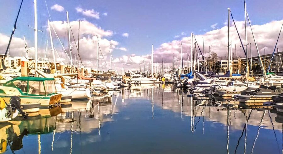 Los Angeles #1: Luxury Boat Cruise-Wine, Cheese & Sea Lions - Why the price can be worthwhile