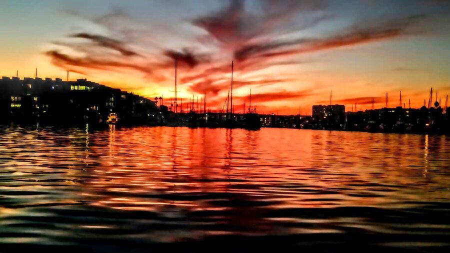Los Angeles #1: Luxury Boat Cruise-Wine, Cheese & Sea Lions - Best occasions for this Marina del Rey cruise