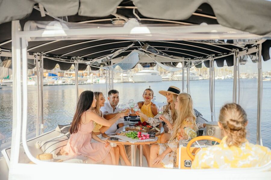 Los Angeles: Luxury Cruise with Wine, Cheese & Sea Lions - A quiet cruise through Marina del Rey