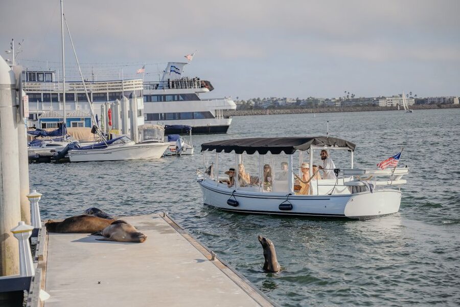 Los Angeles: Luxury Cruise with Wine, Cheese & Sea Lions - Why the captain matters