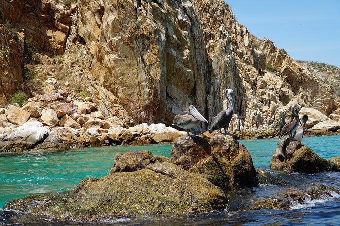 Los Cabos Deluxe City Tour: San Jose, San Lucas and The Arch - What to bring and what to expect