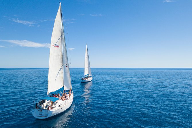 Los Cabos Luxury Sailing, Snorkel and Lunch Cruise - Paddleboards, swimming, or a quiet deck