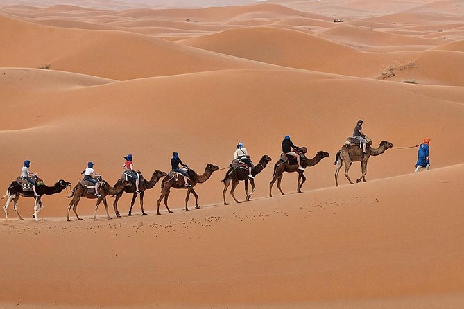 Luxury 2-Days Desert Trip from Fes to.:( fes or marakech) - Ifrane and Azrou bring a cooler Morocco
