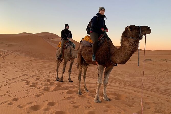 Luxury 2-Days Desert Trip from Fes to.:( fes or marakech) - Sunrise, breakfast, and the return drive