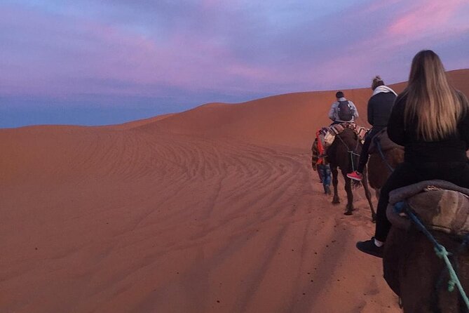 Luxury 2-Days Desert Trip from Fes to.:( fes or marakech) - How the small group affects the experience
