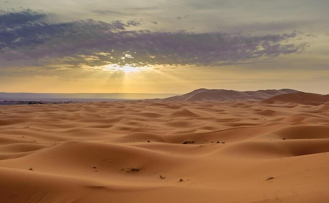 luxury 3 Days 2 Nights Desert Tour from Fez to Marrakesh - From Fez to the Cedar Forest