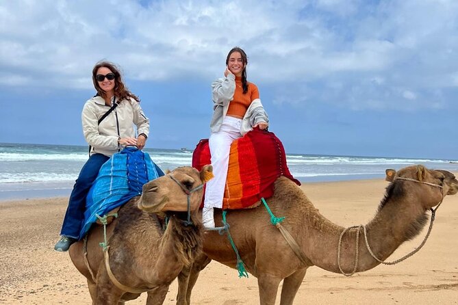 luxury 4 Hour Private Tour of Tangier - Parc Perdicaris and the road to Cap Spartel