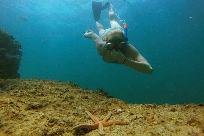 Luxury 42' Yacht Tour in Cabo for Snorkeling and Sunset - Practical details that affect your decision