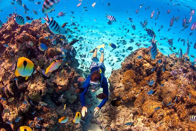 LUXURY Catamaran Bora Bora : Sailing, Snorkeling & Floating Bar - The shallow-water floating bar