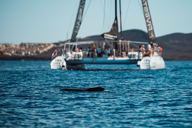 Luxury Catamaran Cruise with Brunch and Unlimited Drinks - The Canarian brunch: local idea, mixed execution