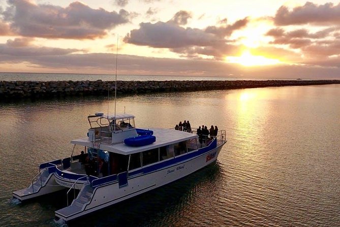 Luxury Catamaran Sunset and Wine Cruise from Dana Point - Key points to know before you book