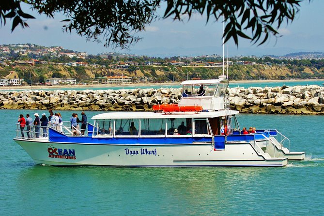 Luxury Catamaran Sunset and Wine Cruise from Dana Point - A quiet cruise through Dana Point Harbor