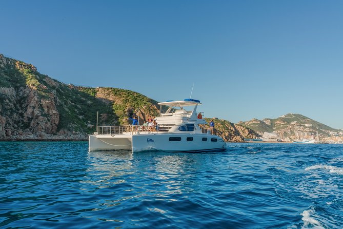 Luxury Catamaran Whale Watching Cabo San Lucas - From hotel pickup to the Cabo marina
